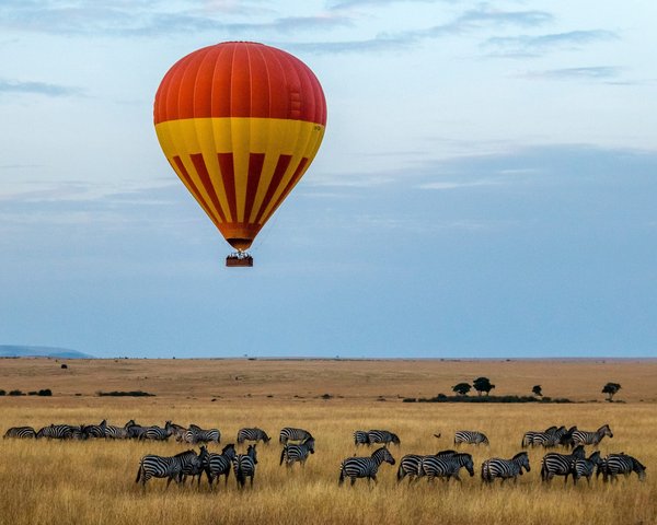 Voyager dans des réserves naturelles : safaris en montgolfière